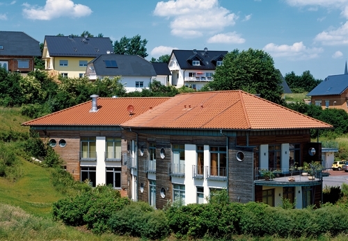 imgAureus RG 10 Czerwieñ Naturalna