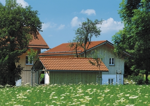 imgHarmonie Neu Finesse Czerwieñ Naturalna