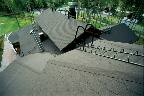 imgPlaster miodu przyk³ad realizacji